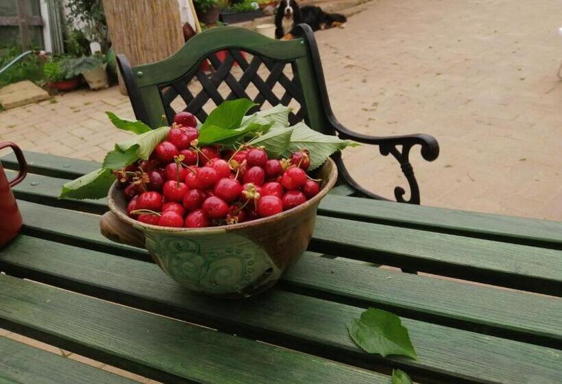 بنسيون Míves Vendégház