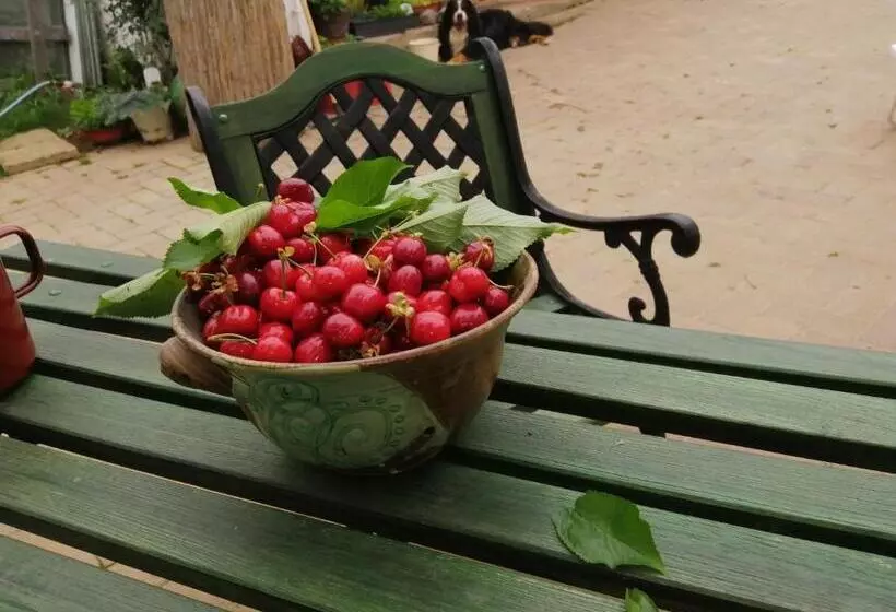 ペンション Míves Vendégház