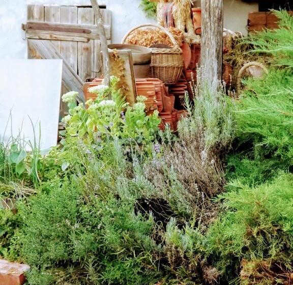 بنسيون Míves Vendégház