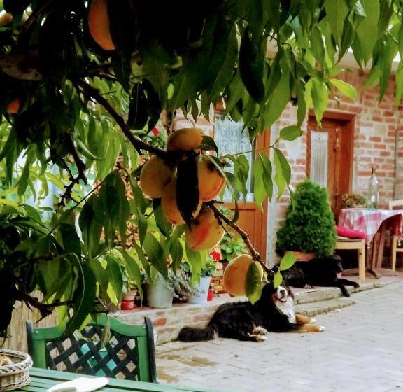 بنسيون Míves Vendégház