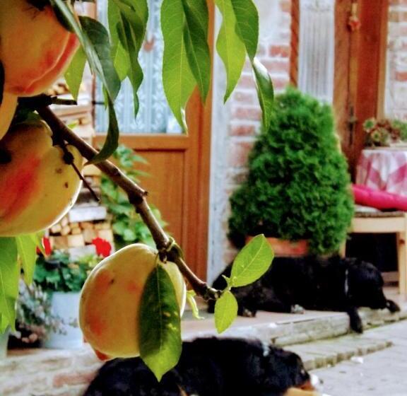 بنسيون Míves Vendégház