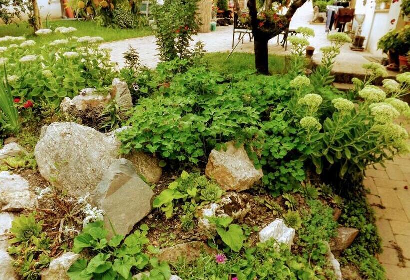 بنسيون Míves Vendégház