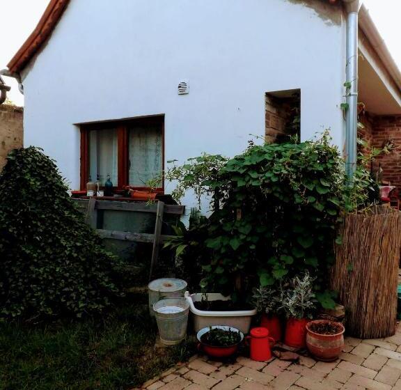 بنسيون Míves Vendégház