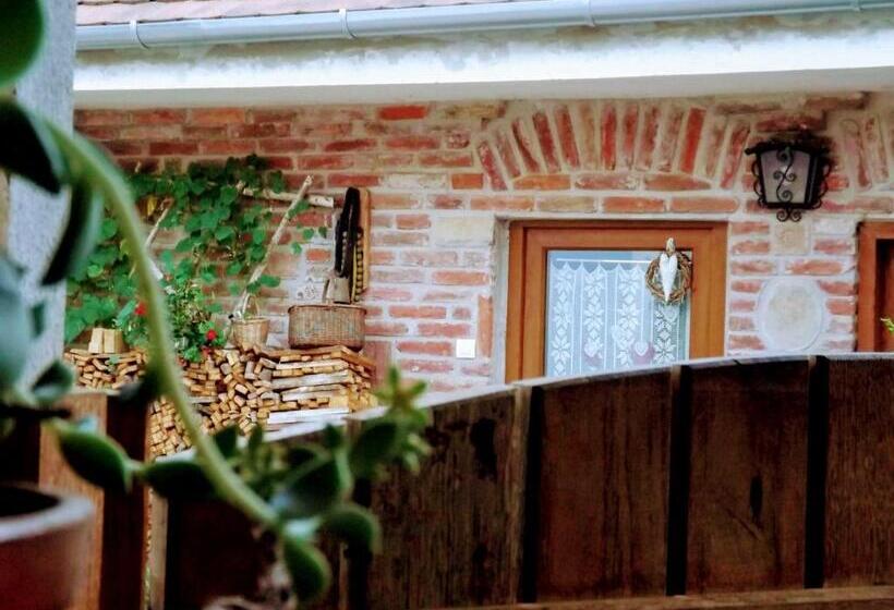 بنسيون Míves Vendégház