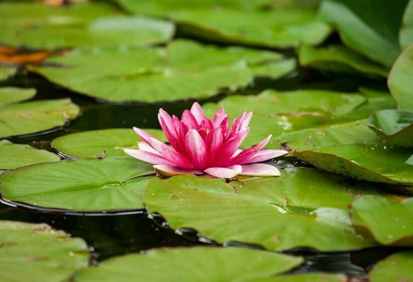 ペンション Penzion Lukov