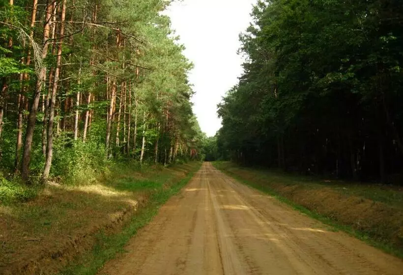 ペンション Vidéki Ház őrség