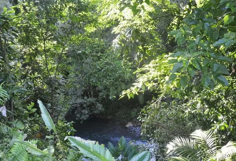 Tropical Bliss Bed And Breakfast