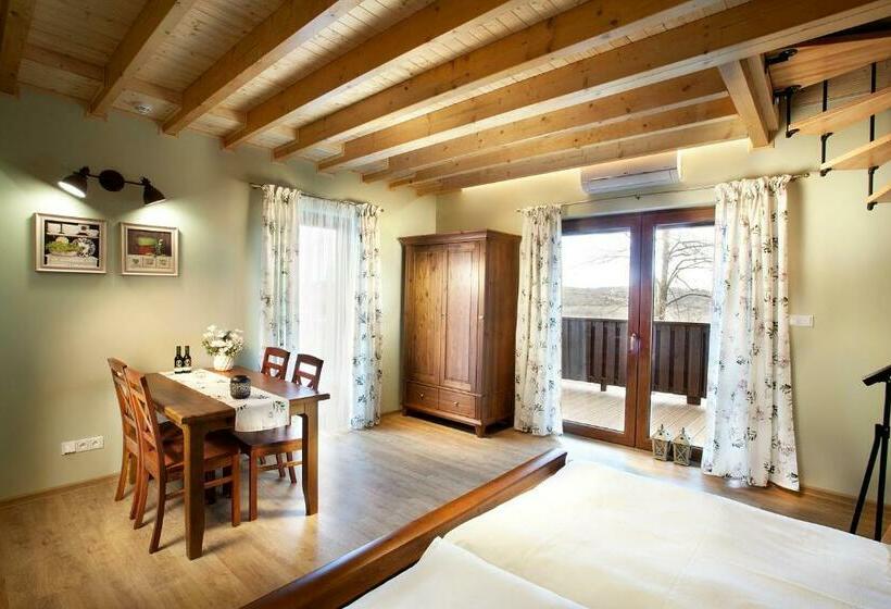 פנסיון Vinařský Penzion André