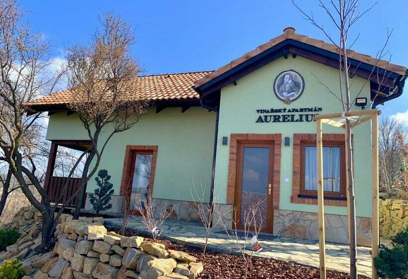 פנסיון Vinařský Penzion André