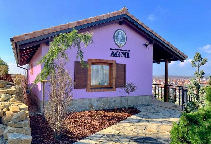 פנסיון Vinařský Penzion André