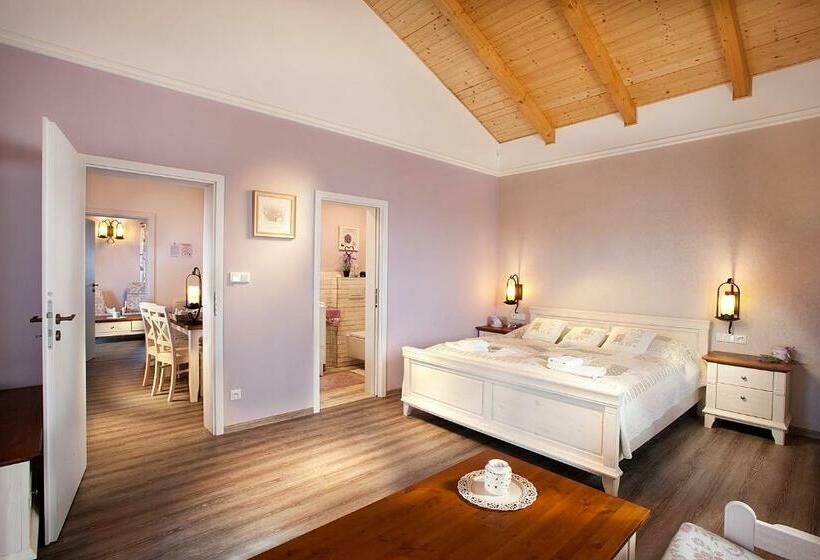 פנסיון Vinařský Penzion André