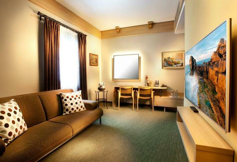 פנסיון Vinařský Penzion André