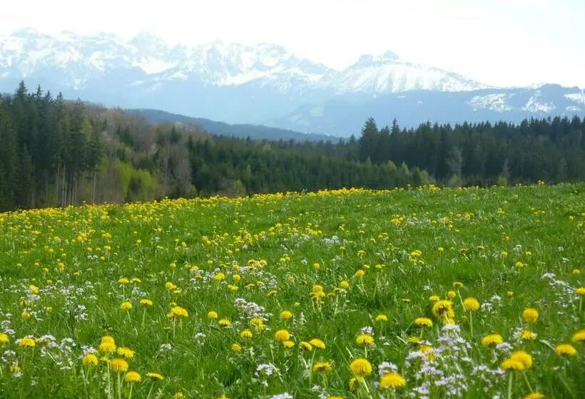 Retkeilymaja Pension Mittelallgäu