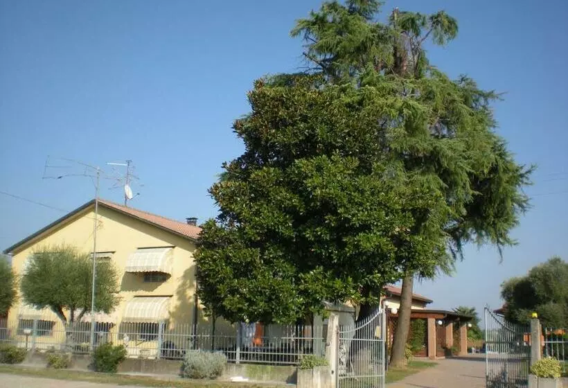 Aamiaismajoitus (B&B) Camere Solidea