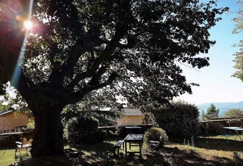 ベッドアンドブレックファースト Chateau De Riverie Chambres Et Table D Hôtes