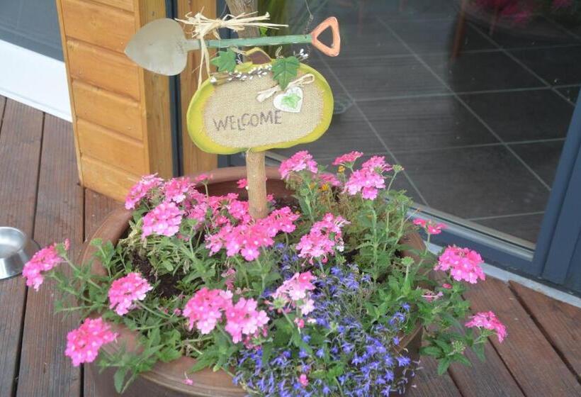 مبيت وإفطار Les Condamines