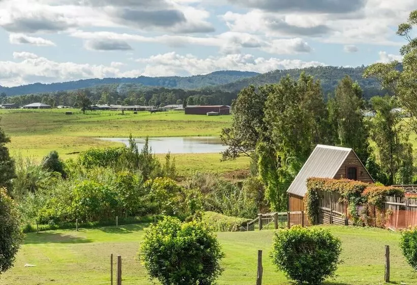 Aamiaismajoitus (B&B) Kings Nd Queens Paterson