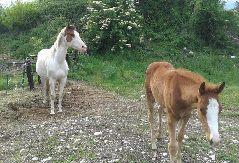 ホテル Agriturismo Al Ranch