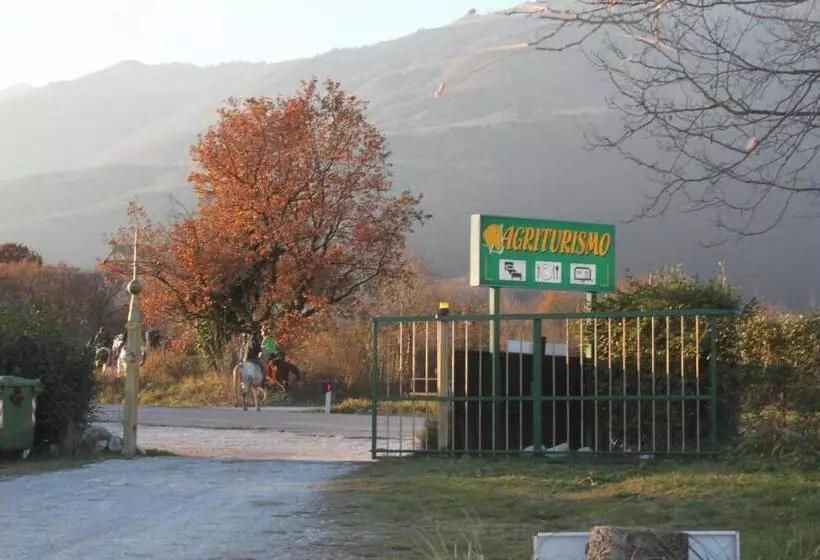 ホテル Agriturismo Al Ranch