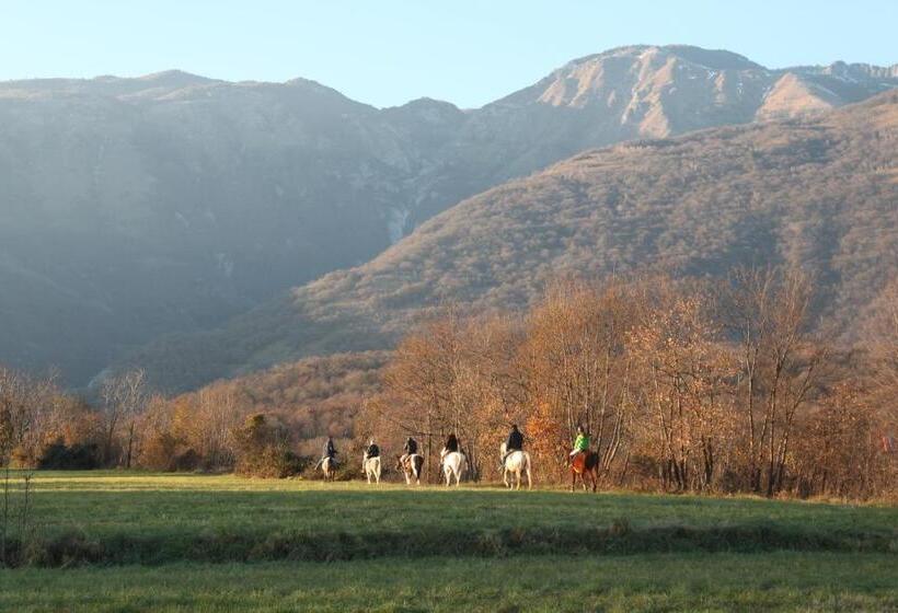 ホテル Agriturismo Al Ranch