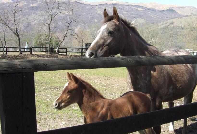 ホテル Agriturismo Al Ranch