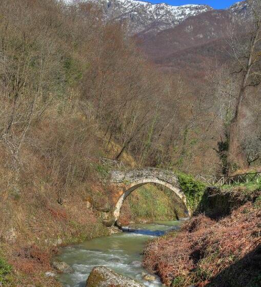 Отель Agriturismo Dai Marchesin