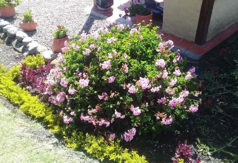 فندق Campestre Franchesca