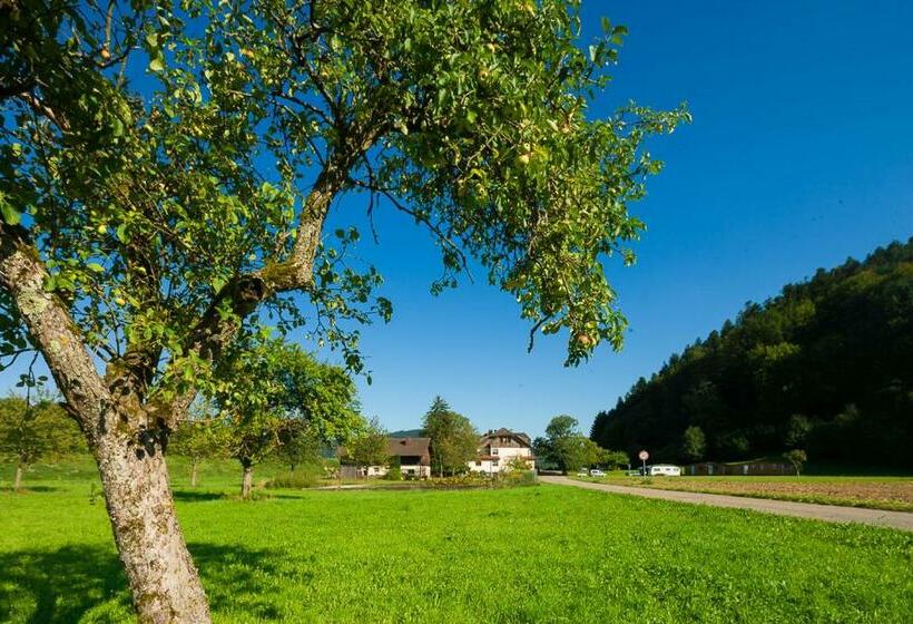 호텔 Landgasthof Kinzigstrand