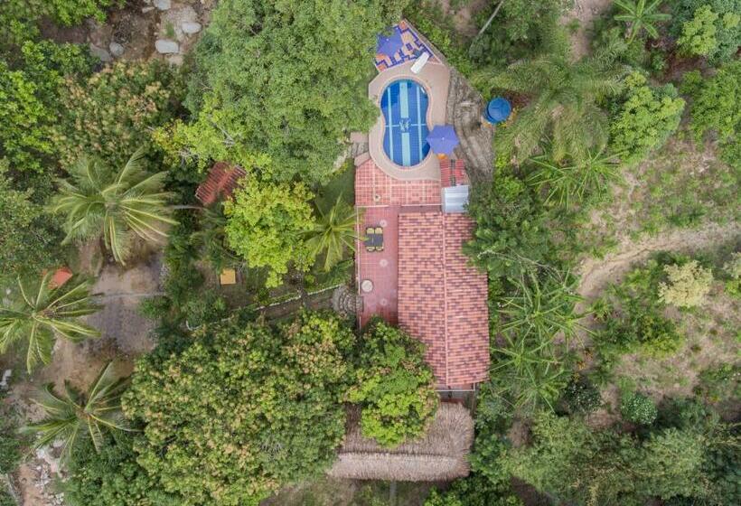 Manigua Tayrona Hostel