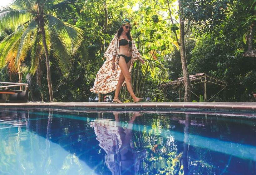 Manigua Tayrona Hostel