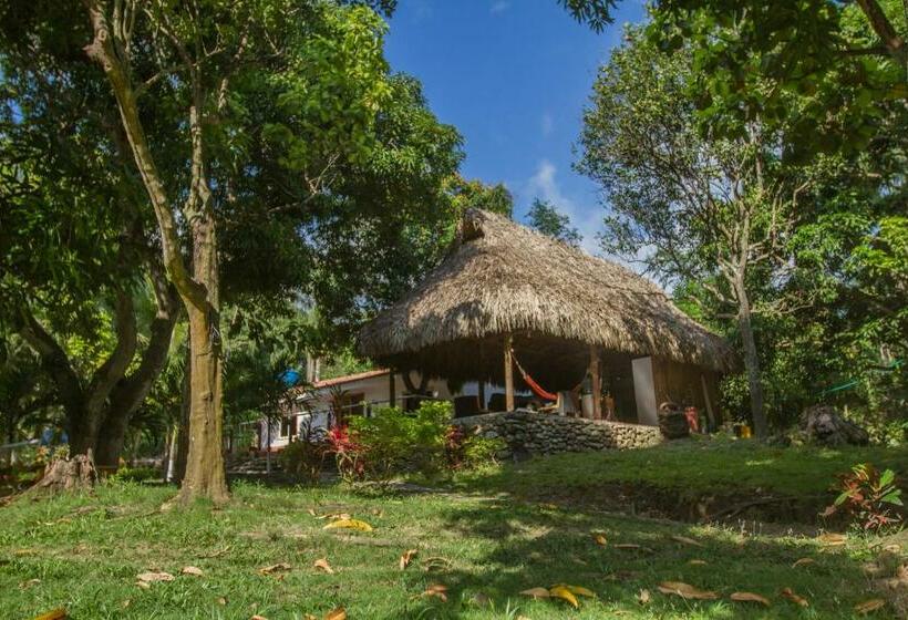 Manigua Tayrona Hostel