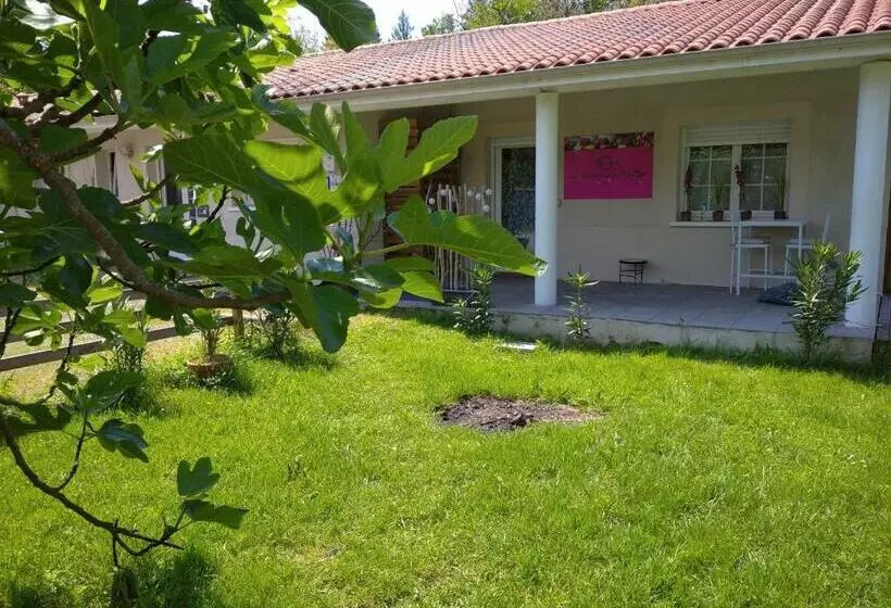 Majatalo Chambre D'hôtes Les Macarons De Tata