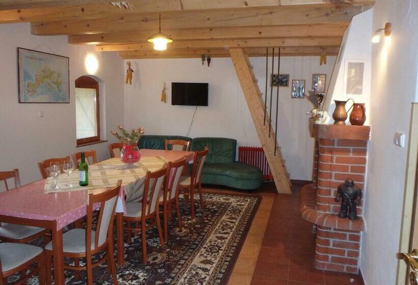 ペンション Penzion Vlasta