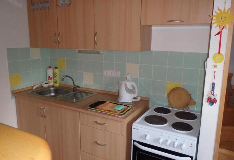 ペンション Penzion Vlasta