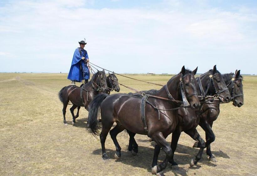 Tisza Lodge B&b Panzió