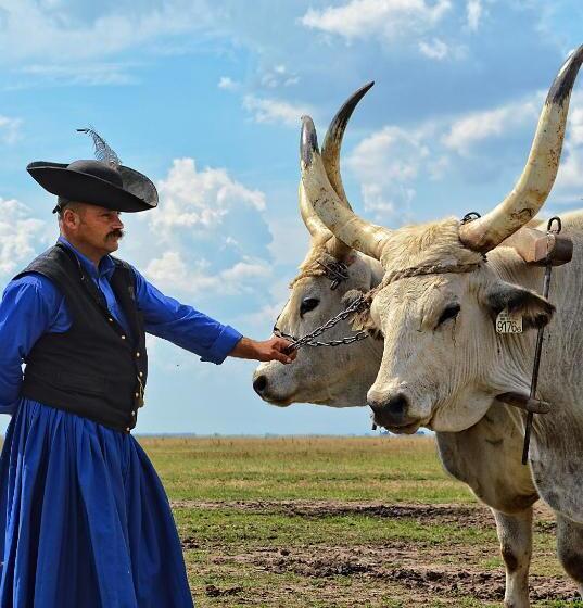 Tisza Lodge B&b Panzió