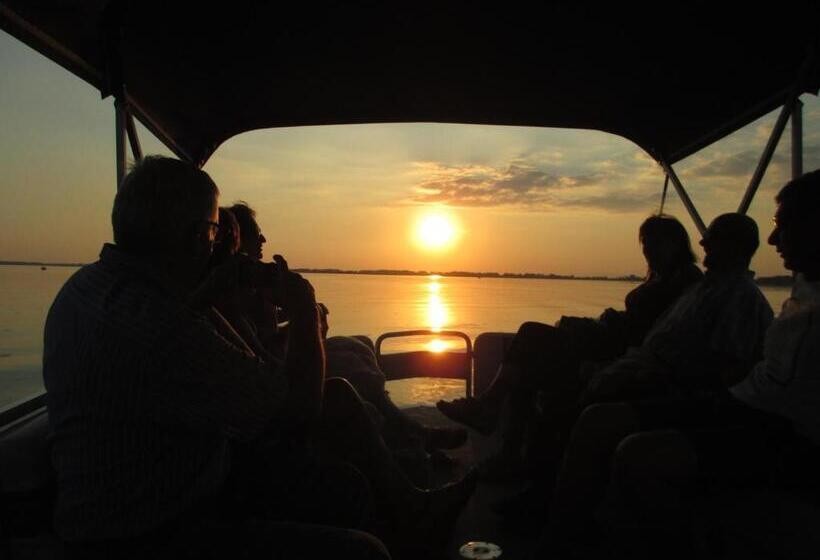 Tisza Lodge B&b Panzió