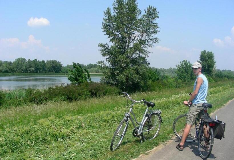 Tisza Lodge B&b Panzió