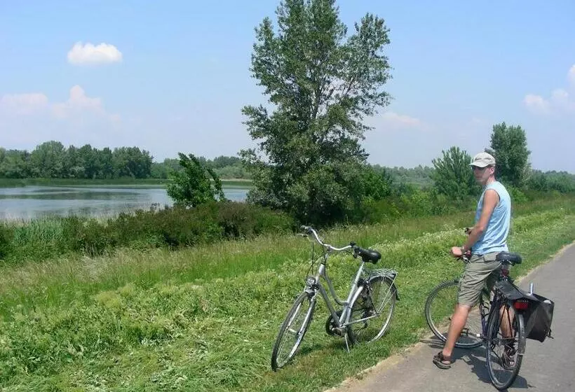 Tisza Lodge B&b   Panzió