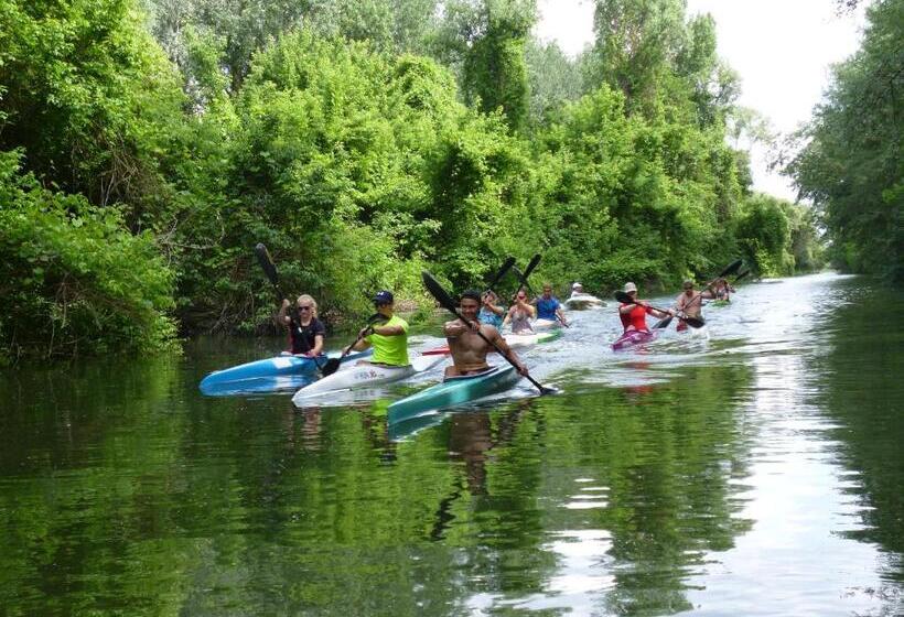 Tisza Lodge B&b Panzió