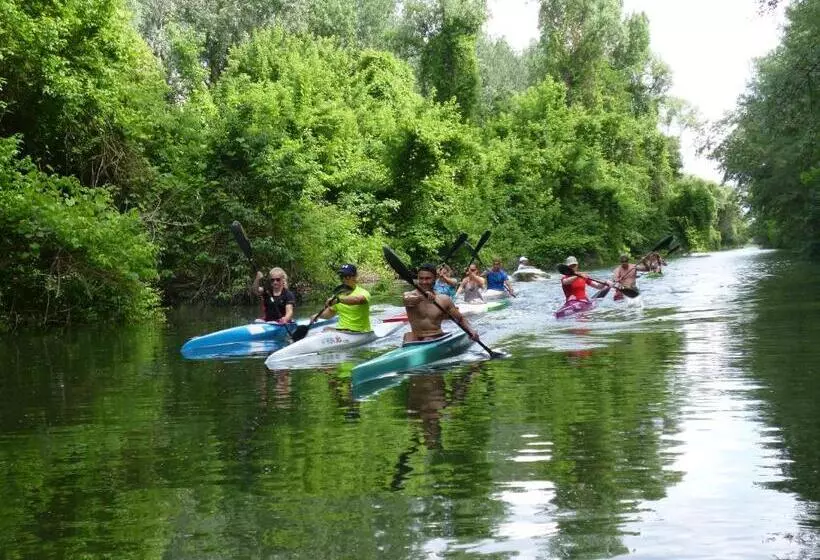 Tisza Lodge B&b   Panzió