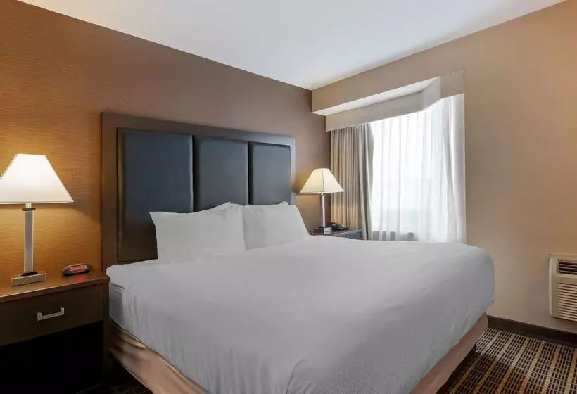 酒店 Best Western Plus Burlington Inn & Suites
