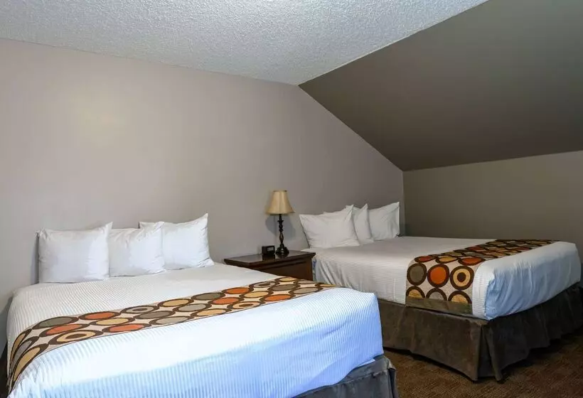 酒店 Super 8 By Wyndham Cochrane