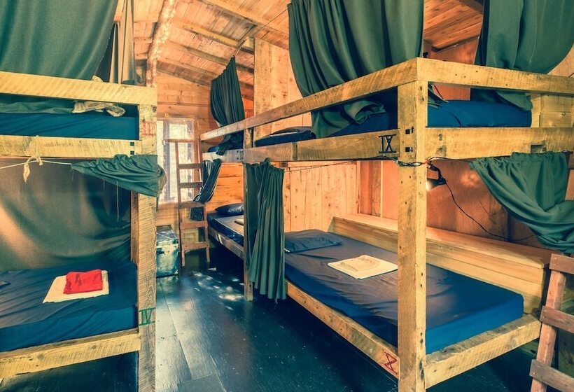 호스텔 Auberge/chalet Griffon Aventure