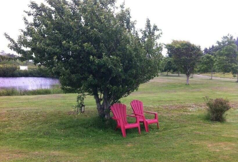 Argyle By The Sea Bed & Breakfast