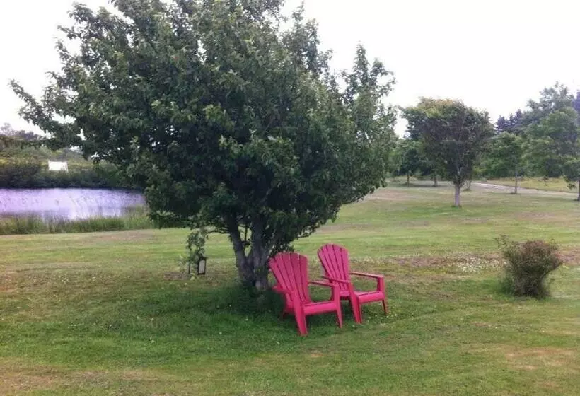 Argyle By The Sea Bed & Breakfast