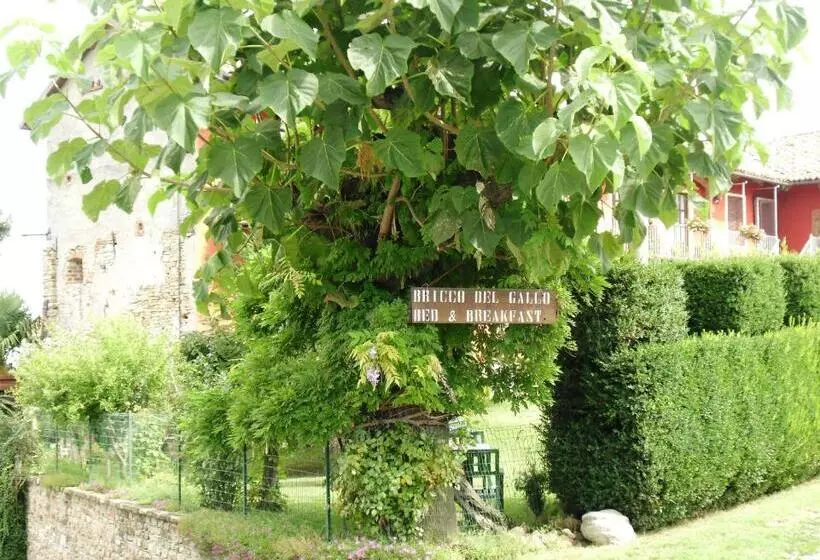 Aamiaismajoitus (B&B) Bricco Del Gallo