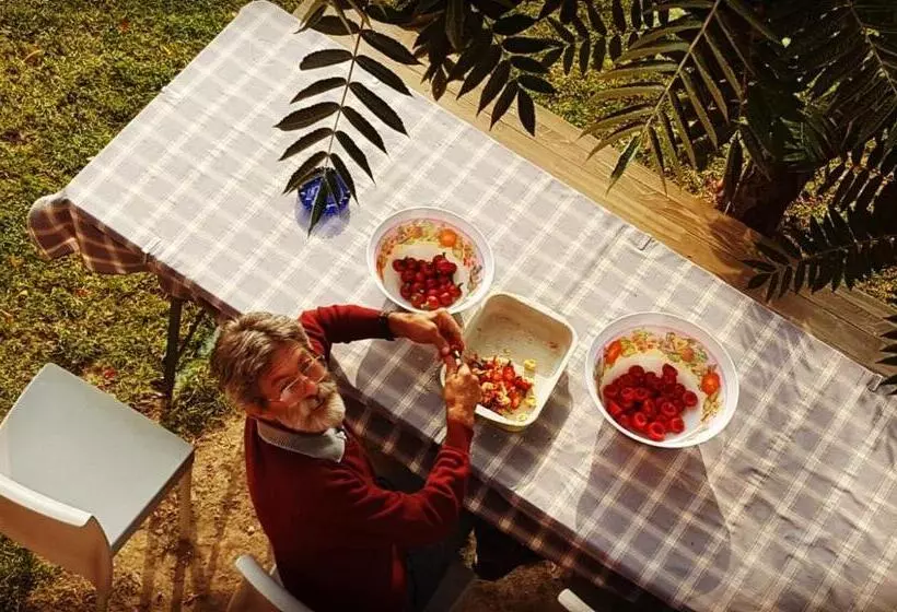 Aamiaismajoitus (B&B) Bricco Del Gallo