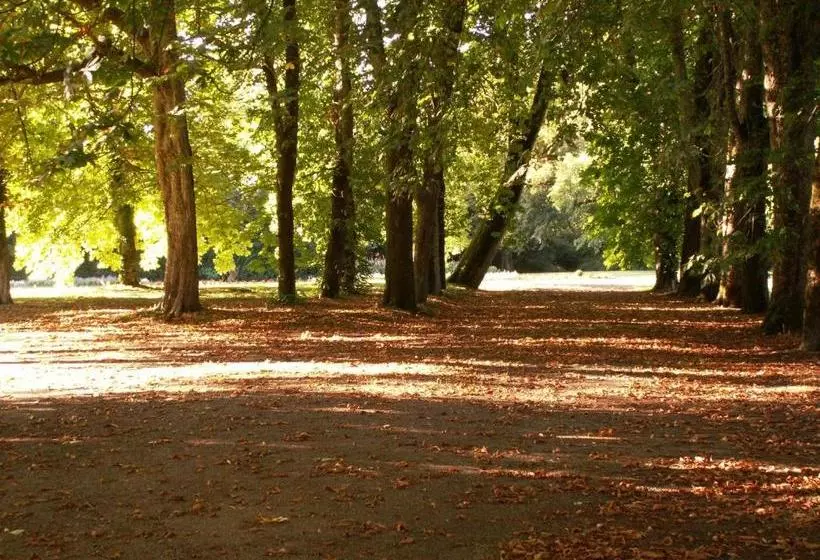 ベッドアンドブレックファースト Château De La Court D Aron