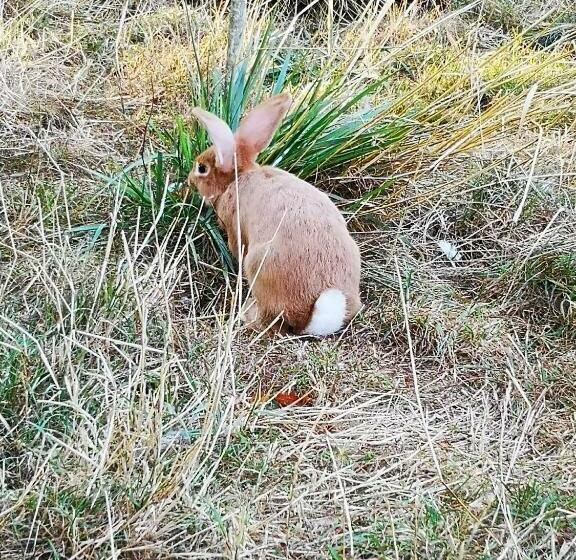 ベッドアンドブレックファースト Domaine De La Borde